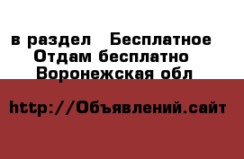  в раздел : Бесплатное » Отдам бесплатно . Воронежская обл.